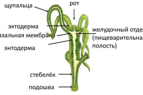 Как вернуть аккаунт кракен