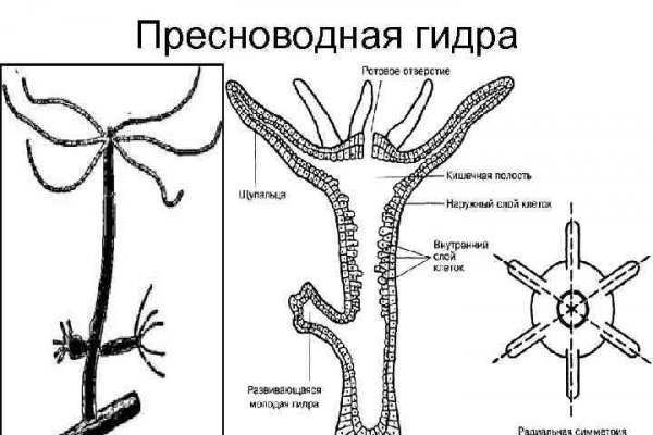 Почему не заходит на кракен