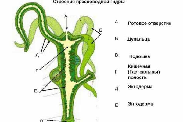 Сайт кракен тор браузера